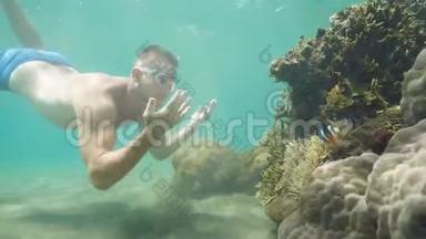 人类旅行者在度假时在海洋中的珊瑚礁附近学习海洋生物潜水。